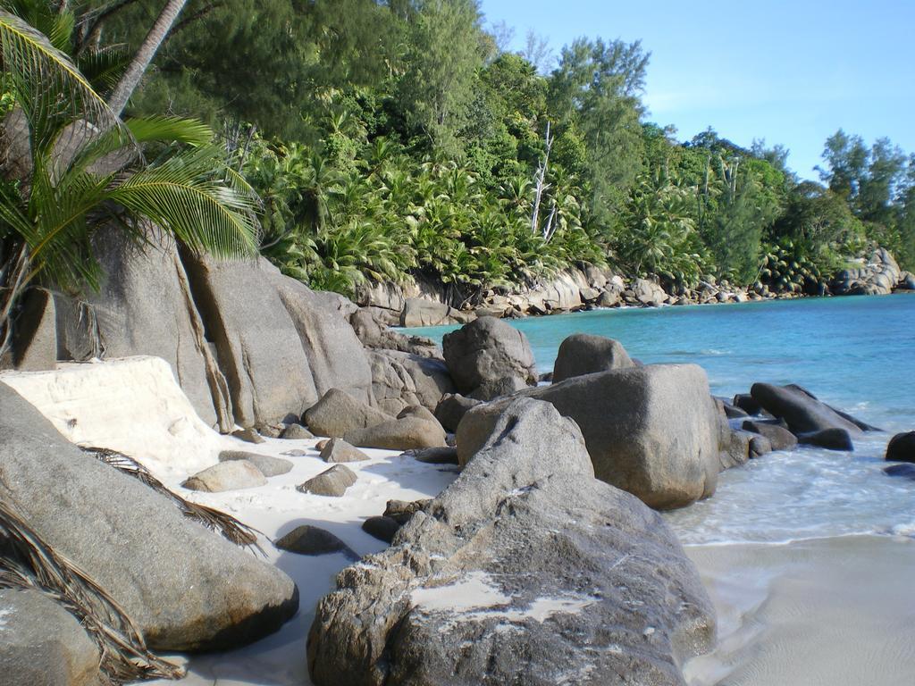 Seychelles Yellow Petals Anse Boileau Екстер'єр фото